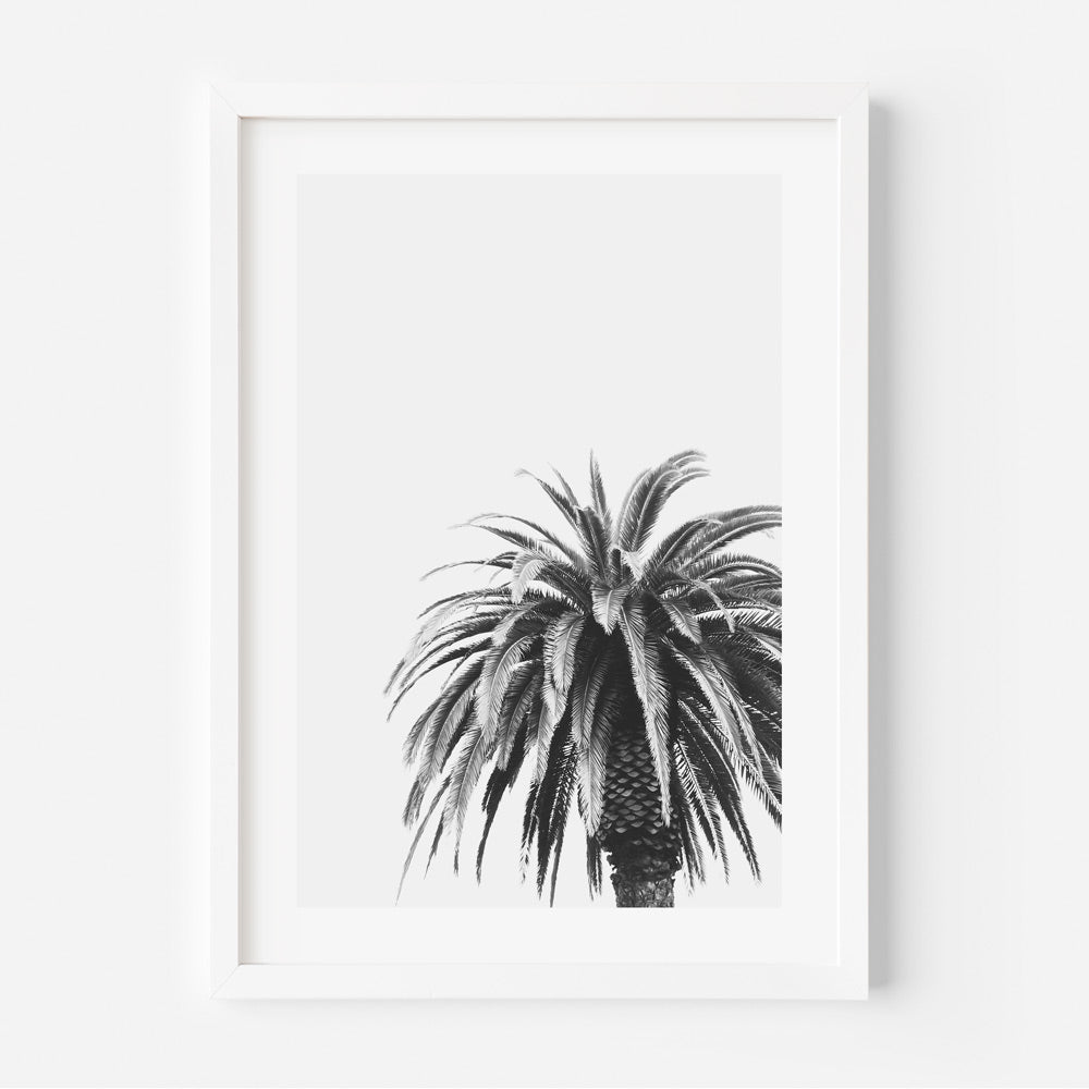 Elegant Black and White Palm Tree Oil Painting for Minimalist Home Decor