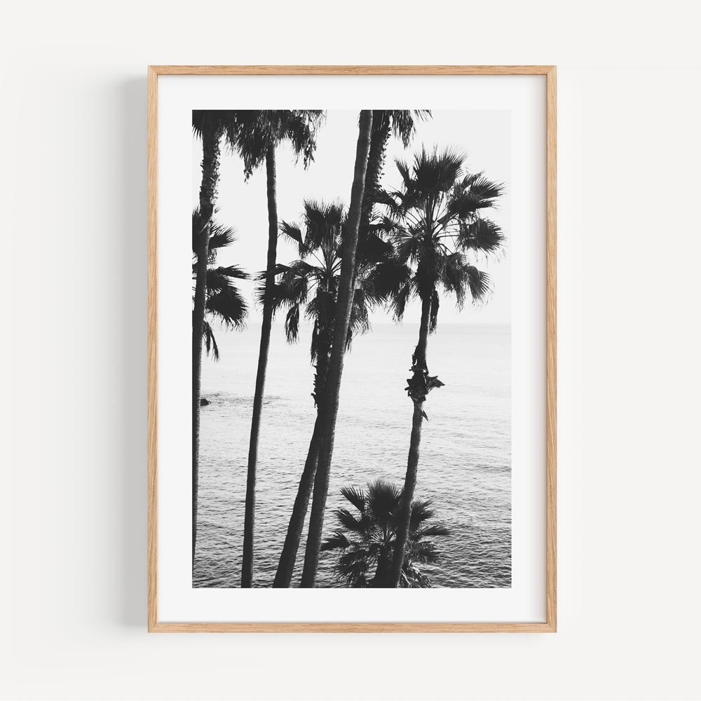 Black and White Coastal Serenity at Laguna Beach with Palm Trees