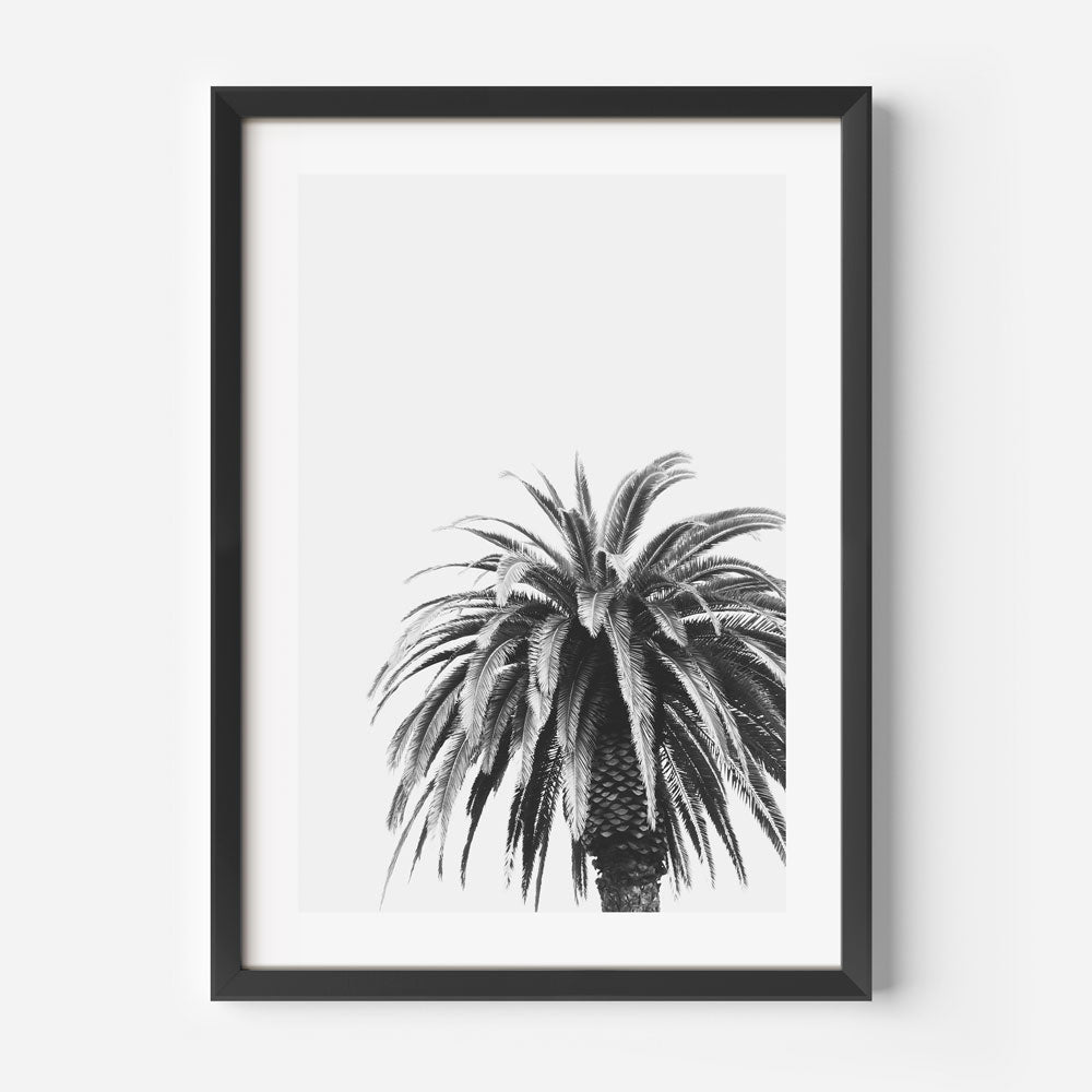 Elegant Black and White Palm Tree Oil Painting for Minimalist Home Decor