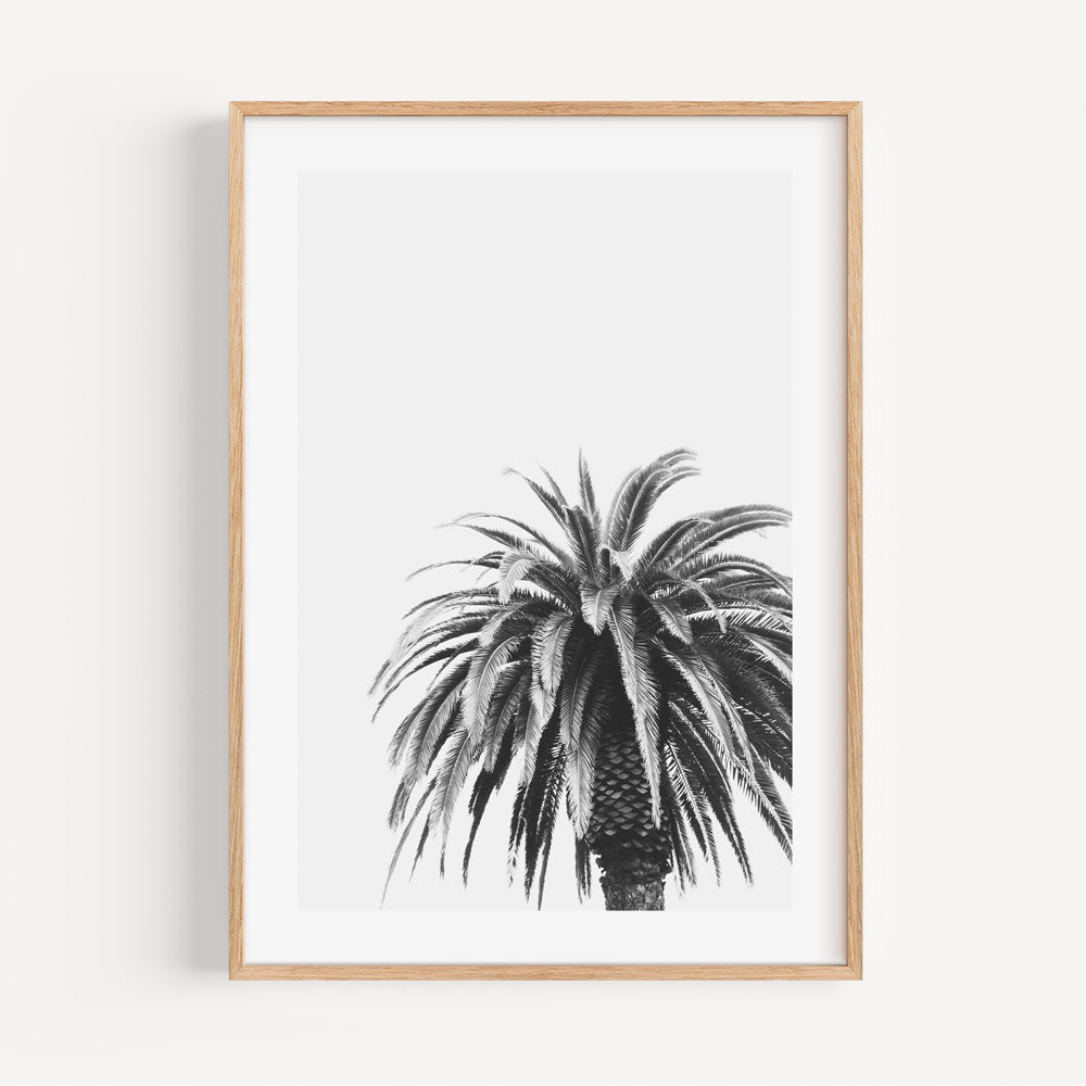 Elegant Black and White Palm Tree Oil Painting for Minimalist Home Decor