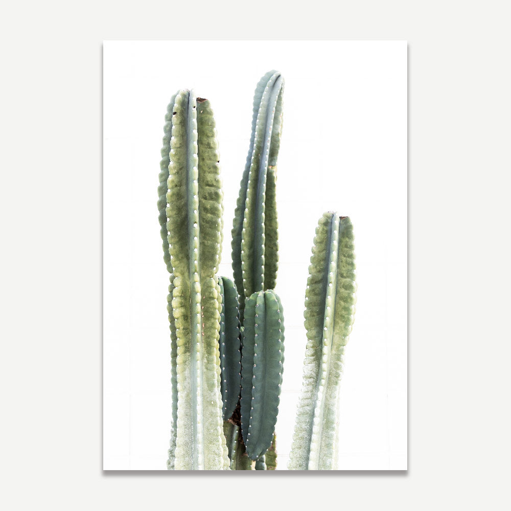 Elegant Torch Cactus Oil Paintings for Modern Home Decor