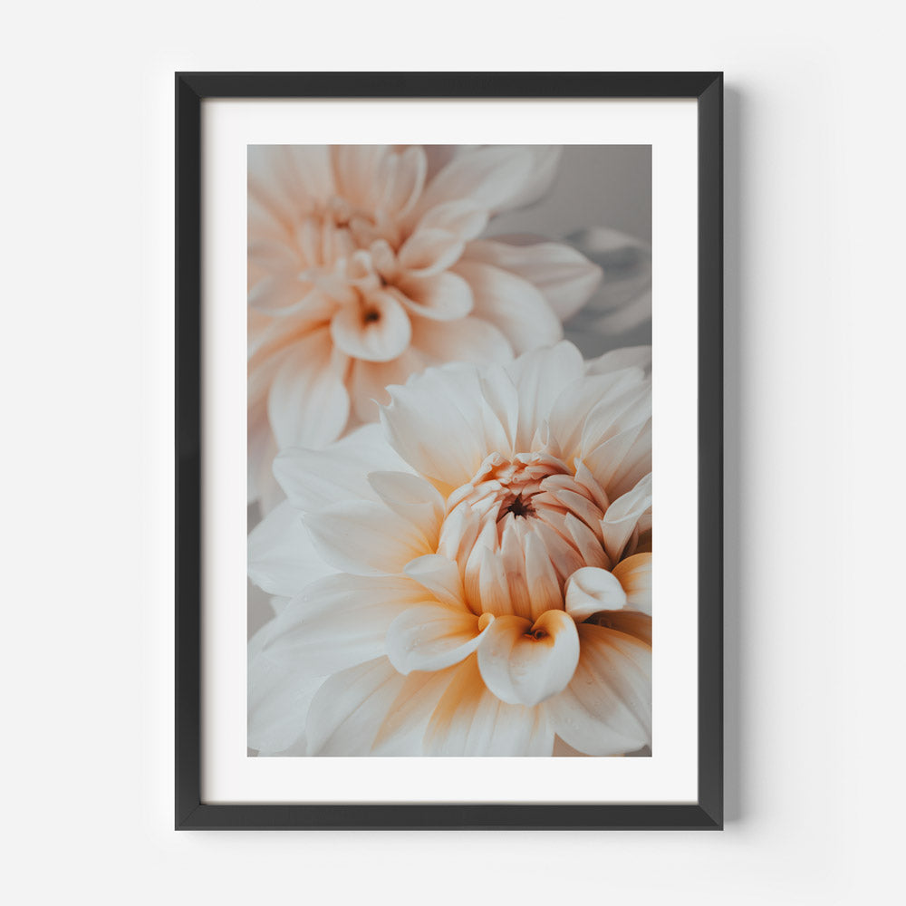 Elegant Dahlia Oil Painting - Soft Floral Art for Joyful Home Decor