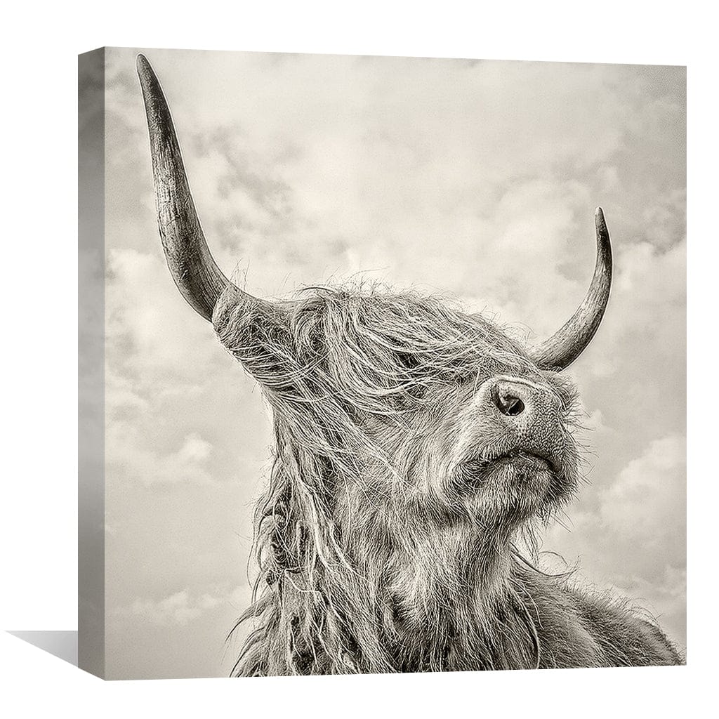 Majestic Highland Bull Oil Painting - Captivating Animal Wall Art for Home Decor