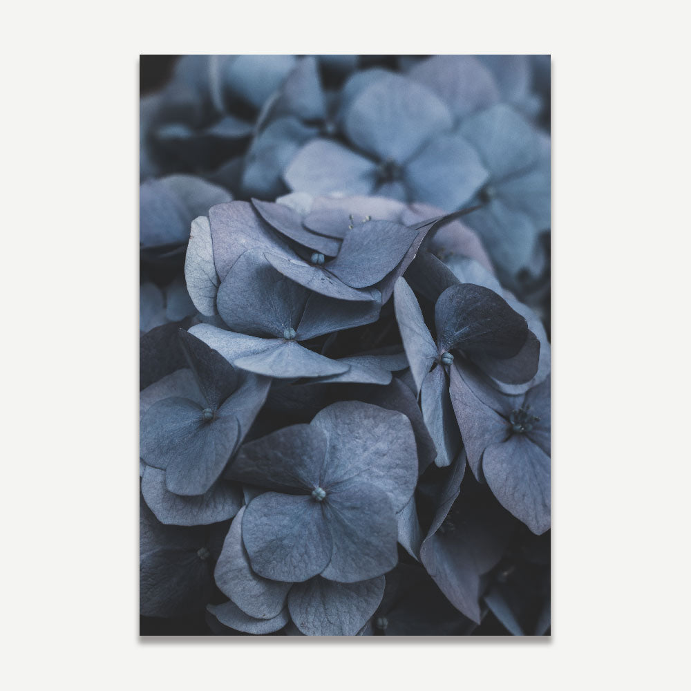 Elegant Blue Hydrangeas - Serene Floral Oil Painting for Home Decor