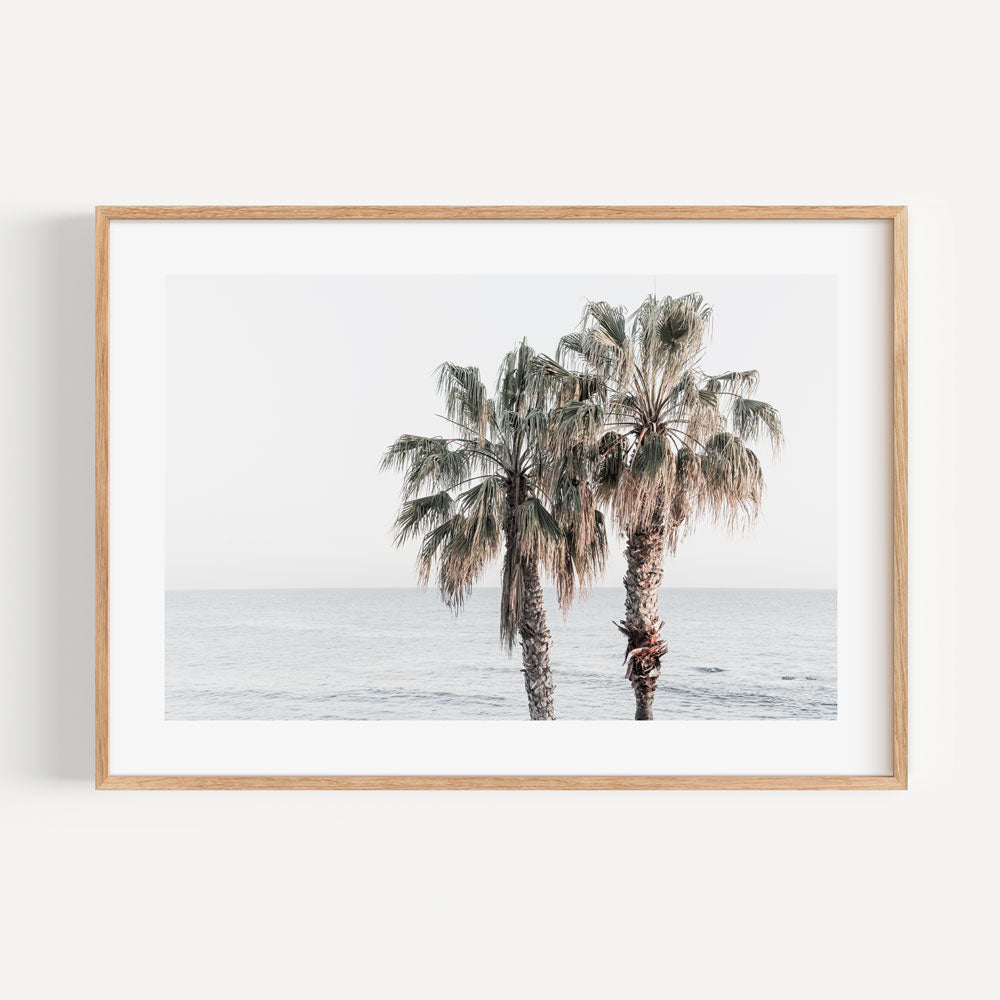 Coastal Serenity: Palm Trees by the Ocean in Soft Ocean Hues
