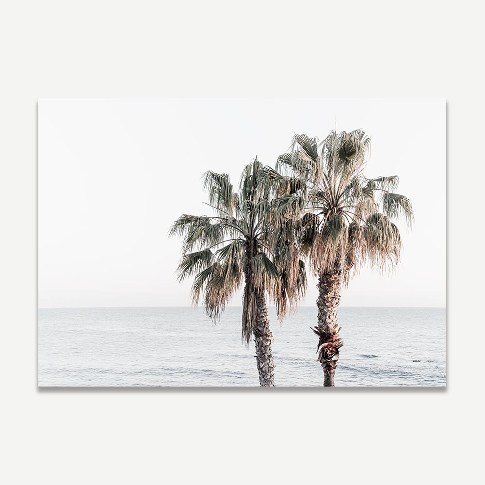Coastal Serenity: Palm Trees by the Ocean in Soft Ocean Hues