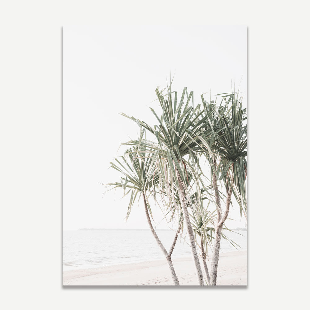 Bondi Beach Surfers Art & Elegant Pandanus Palm Oil Painting Set