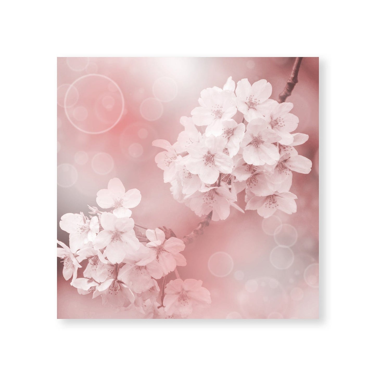Blossoming Harmony - Soft Pink Floral Oil Painting for Tranquil Home Decor