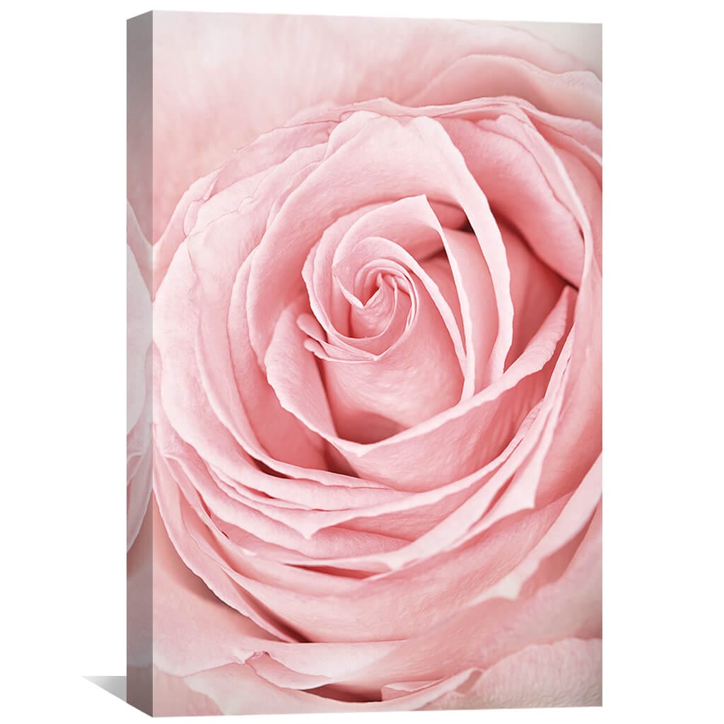 Elegant Pink Rose Oil Painting - Floral Wall Art for Home Decor