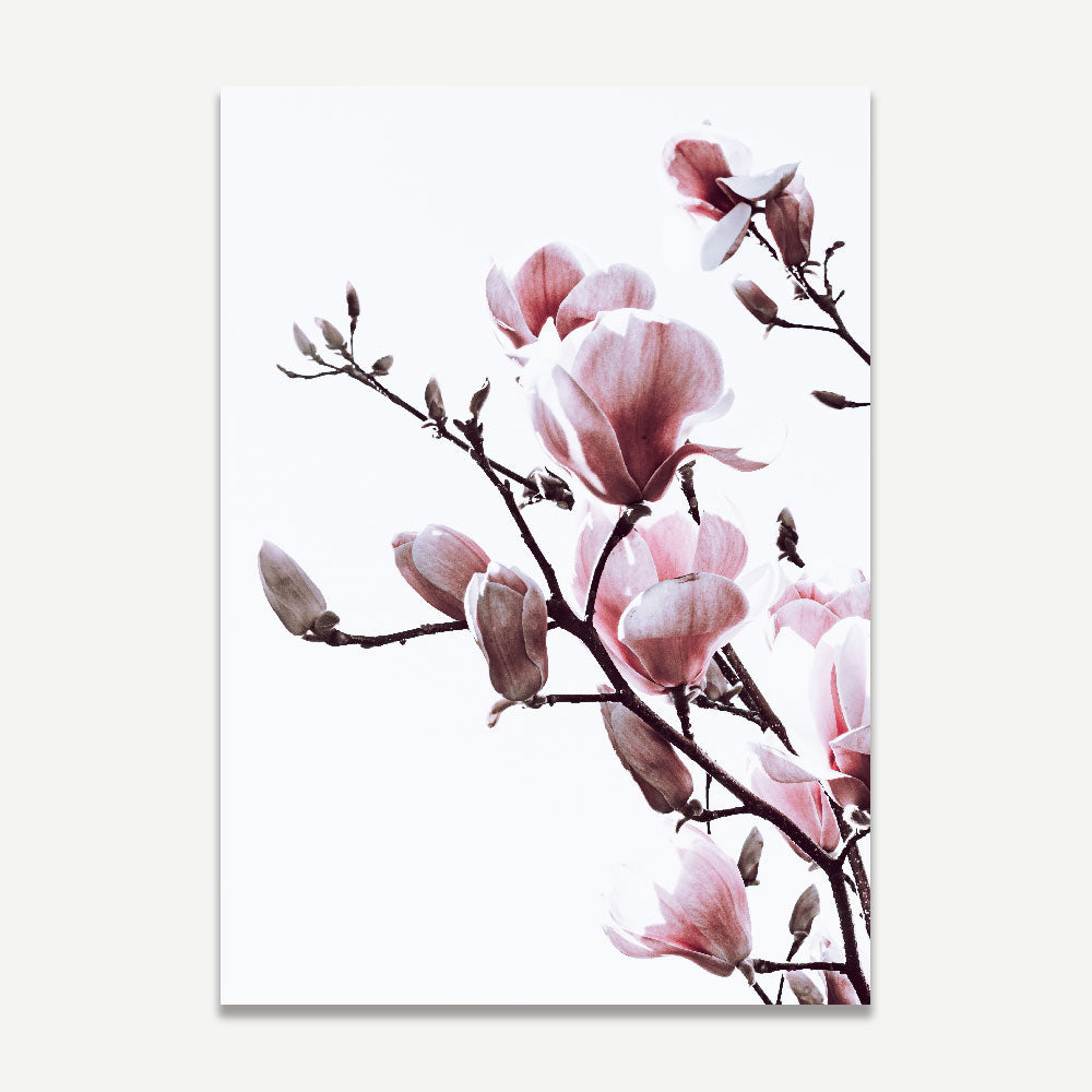 Elegant Pink Magnolia Oil Painting Set for Home Decor - Vibrant Floral Artwork