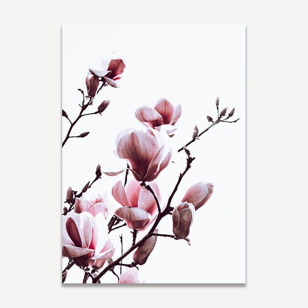 Elegant Pink Magnolia Oil Painting Set for Home Decor - Vibrant Floral Artwork