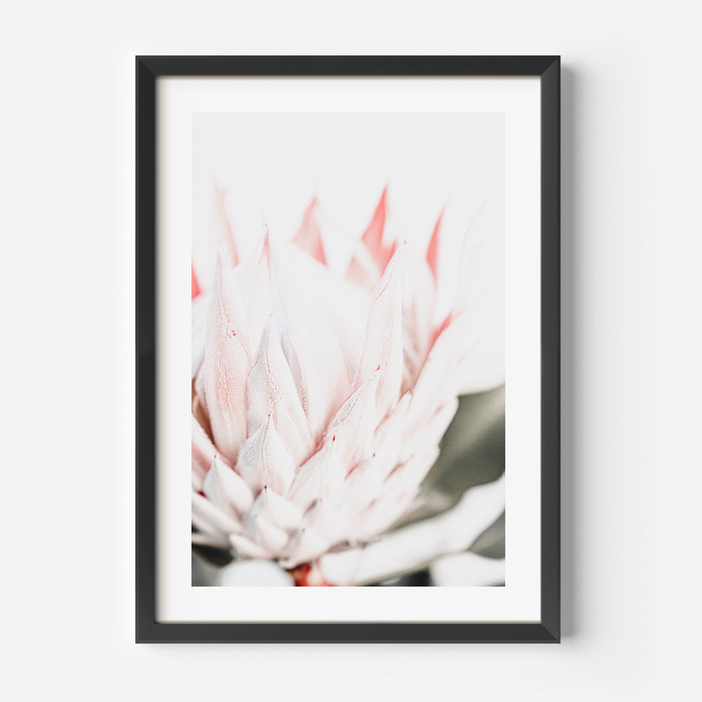 Elegant Queen Protea Oil Painting - Vibrant Floral Wall Art for Modern Decor