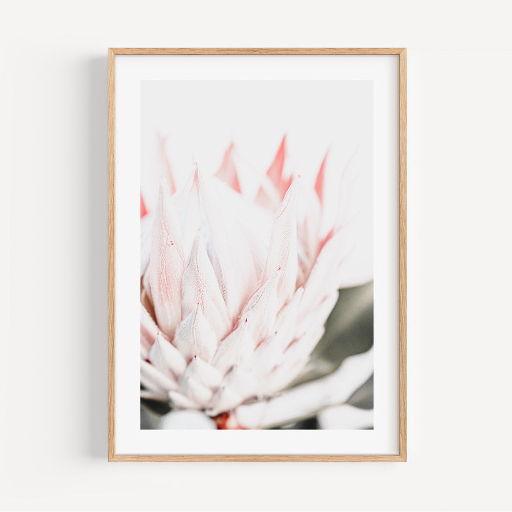 Elegant Queen Protea Oil Painting - Vibrant Floral Wall Art for Modern Decor