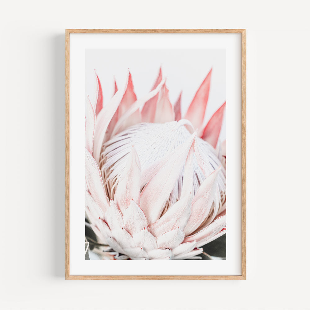 Elegant Queen Protea Oil Painting - Contemporary Floral Artwork for Home Decor