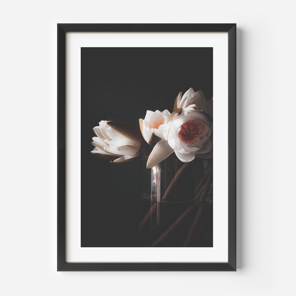 Elegant White Water Lilies Oil Painting for Home or Office Decor