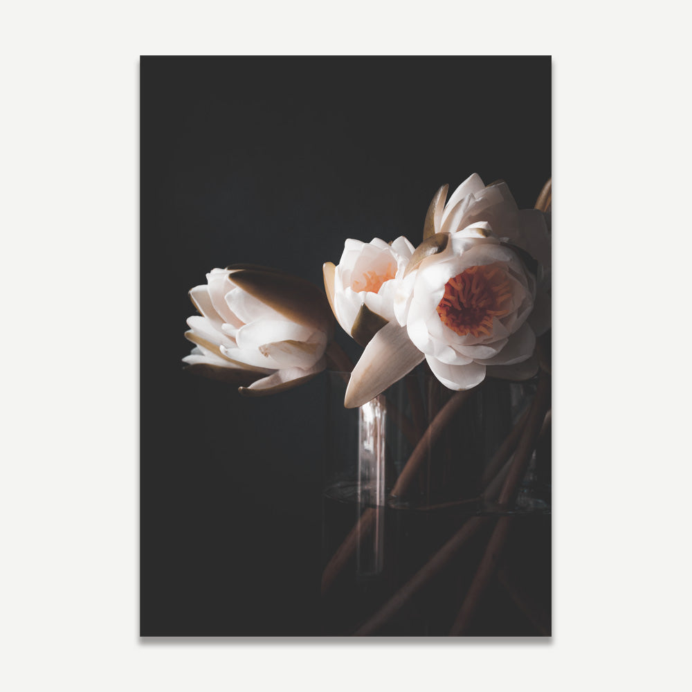 Elegant Water Lily Oil Paintings - Set of 2 for Modern Home Decor