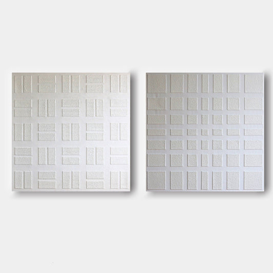 Contemporary Textured Abstract Canvas Art Duo for Modern Home Decor