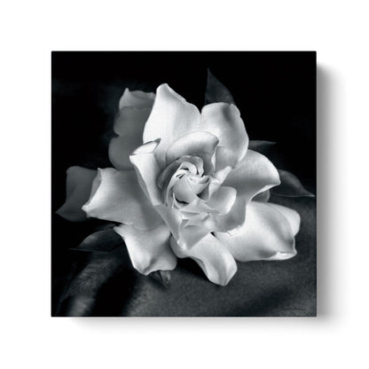 Elegant Gardenia Flower Oil Painting on Canvas for Home Decor