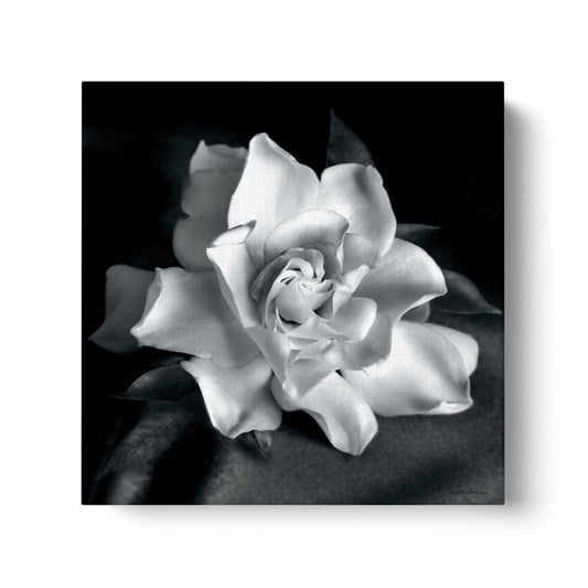 Elegant Gardenia Flower Oil Painting on Canvas for Home Decor