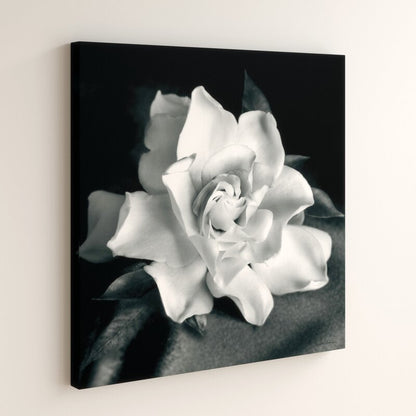 Elegant Gardenia Flower Oil Painting on Canvas for Home Decor