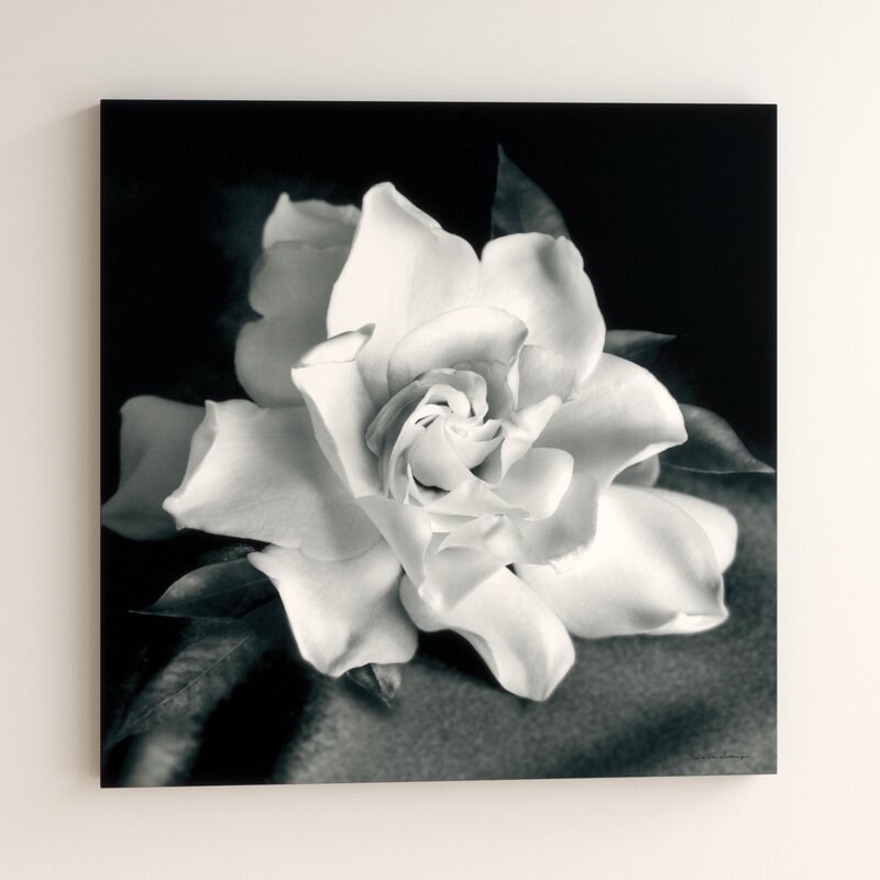 Elegant Gardenia Flower Oil Painting on Canvas for Home Decor