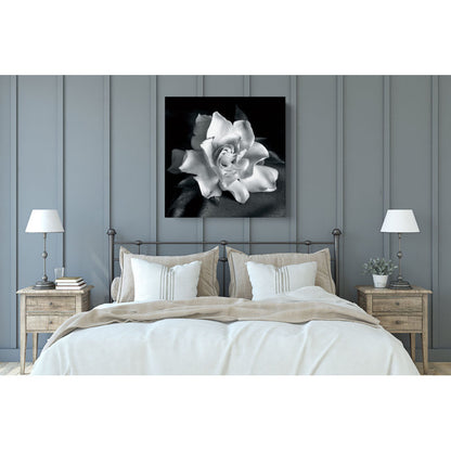 Elegant Gardenia Flower Oil Painting on Canvas for Home Decor