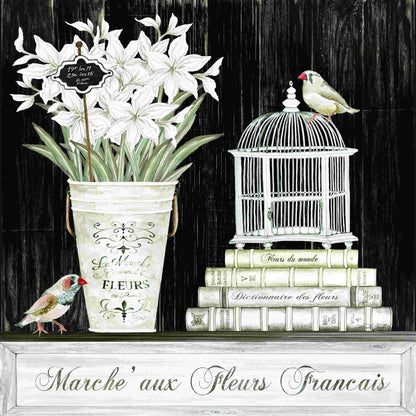 Charming Amaryllis Still Life with Flowers and Birds in Rustic Setting