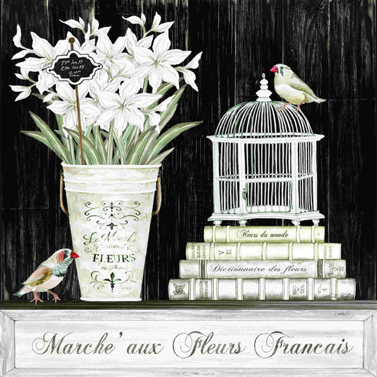 Charming Amaryllis Still Life with Flowers and Birds in Rustic Setting