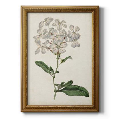 Elegant Botanical Oil Painting of White Flowers and Green Leaves for Home Decor