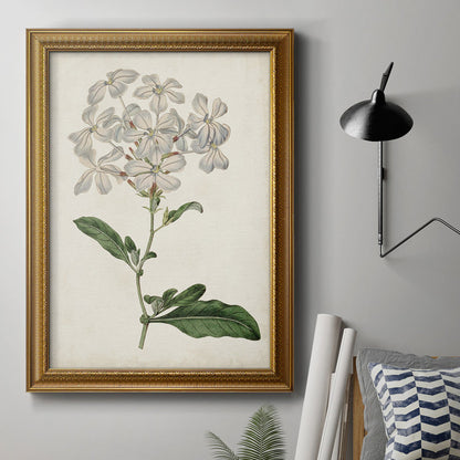 Elegant Botanical Oil Painting of White Flowers and Green Leaves for Home Decor
