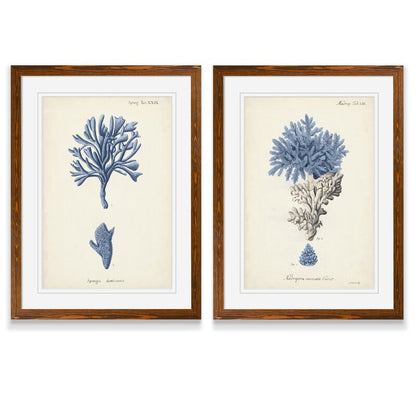 Elegant Navy Coral Art Set - Coastal Home Decor