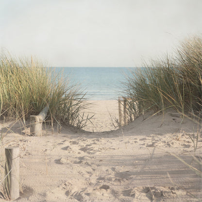 Serene Beach Pathway with Grasses - Tranquil Ocean Landscape Art