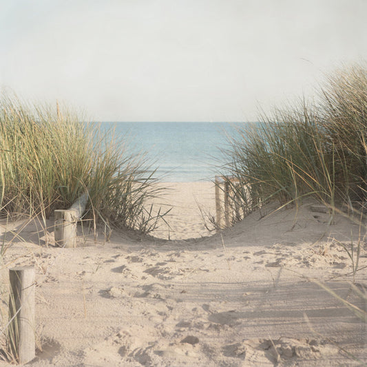 Serene Beach Pathway with Grasses - Tranquil Ocean Landscape Art