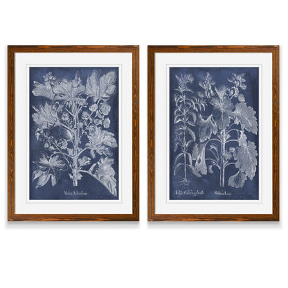 Indigo Botanical Art Set: Elegant Floral Oil Paintings for Home Decor