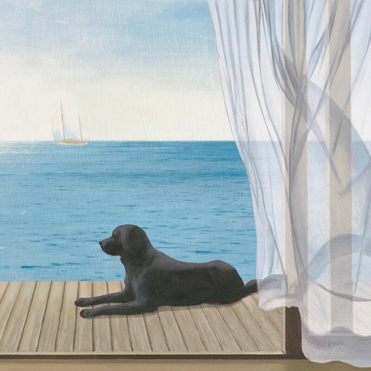 Coastal Serenity: Black Dog Relaxing