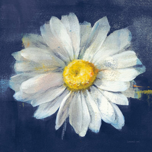 Stunning White Daisy Against Dark Blue Canvas - Floral Oil Painting Decor