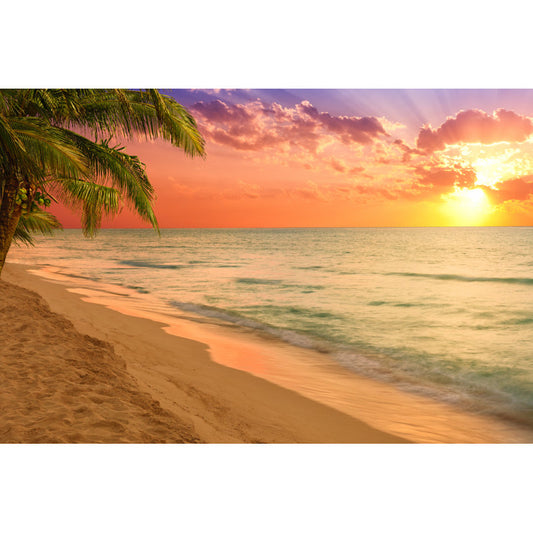 Tropical Sunset on Caribbean Beach - Vibrant Oil Painting for Coastal Decor