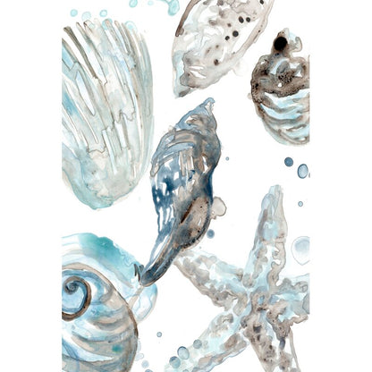 Coastal Serenity: Elegant Seashells Oil Painting