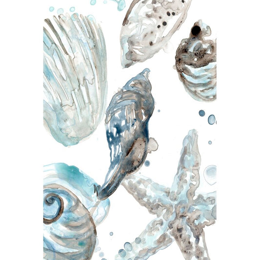 Coastal Serenity: Elegant Seashells Oil Painting