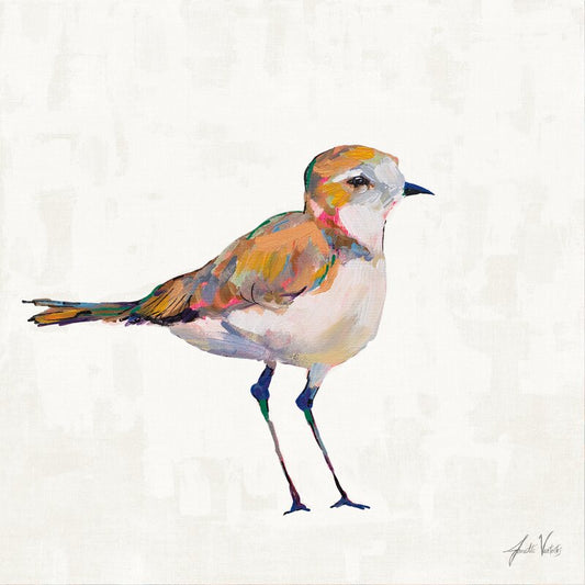 Colorful Coastal Plover Bird Oil Painting