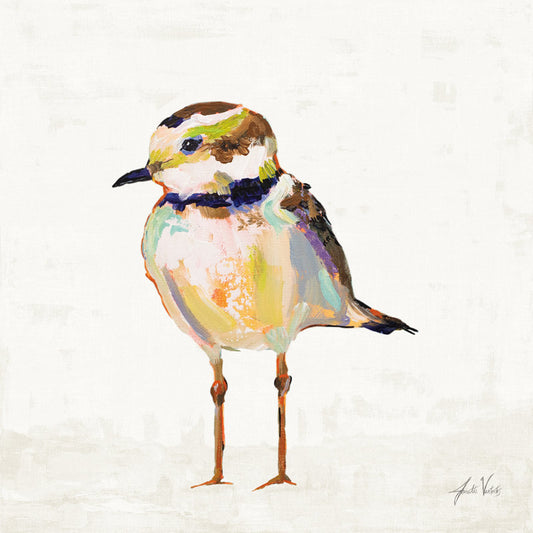 Vibrant Coastal Plover Oil Painting