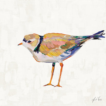 Coastal Plover Oil Painting
