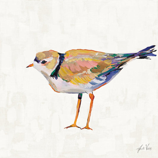 Coastal Plover Oil Painting