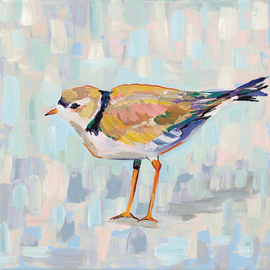 Serene Coastal Plover Bird Oil Painting on Soft Abstract Background