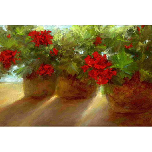 Vibrant Red Geraniums in Sunlit Pots - Beautiful Floral Oil Painting