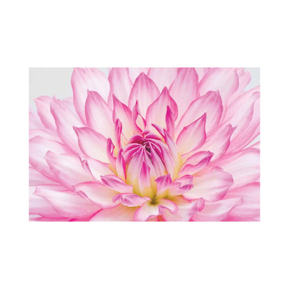 Stunning Pink Dahlia Oil Painting Print for Floral Art Lovers