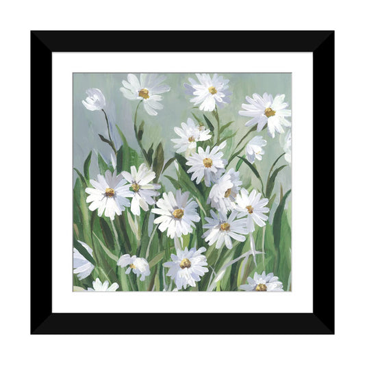 Beautiful Daisy Flower Oil Painting