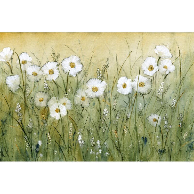 Springtime Daisy Fields Floral Oil Painting