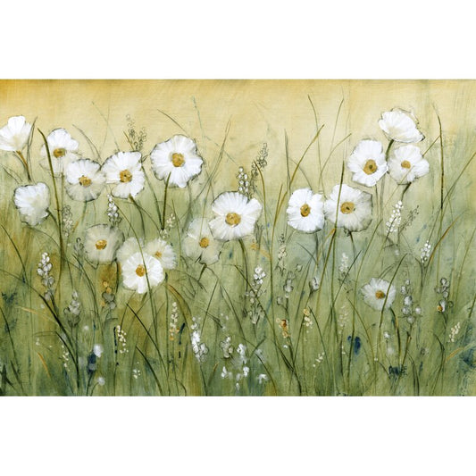 Springtime Daisy Fields Floral Oil Painting