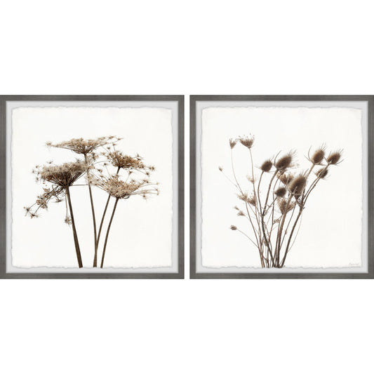 Nature's Elegance: Dried Dandelion Floral Oil Painting Set
